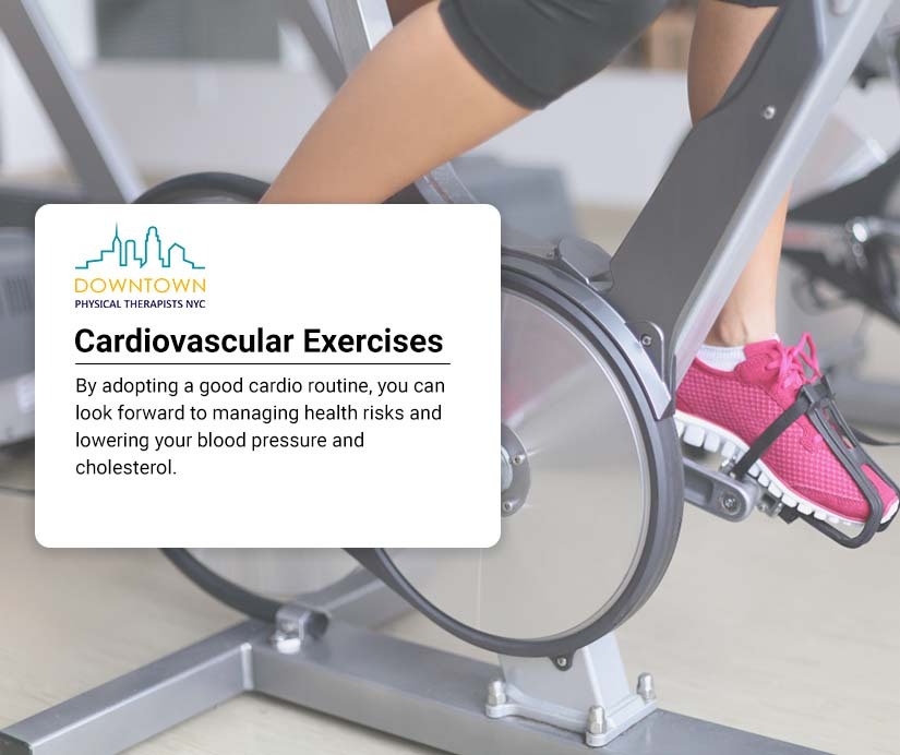 Cardiovascular Exercises