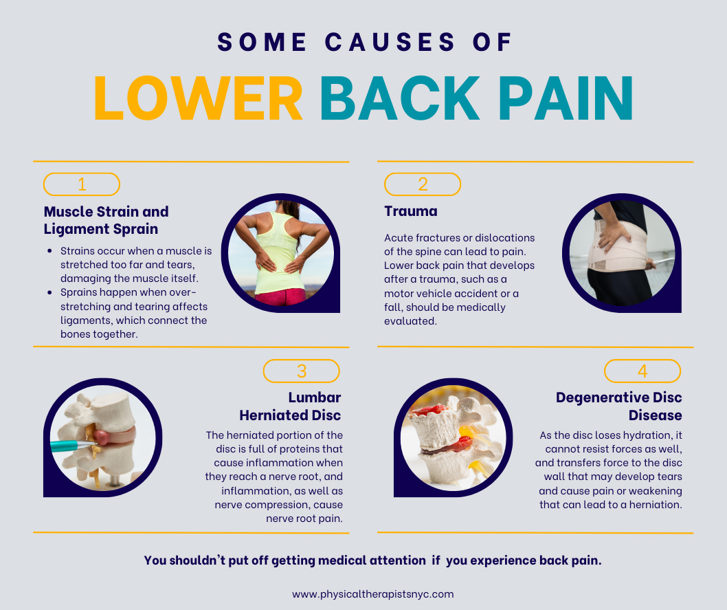 The Causes of Lower Back Pain